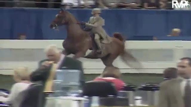 2003 WCHS Class 20 Junior Exhibitor T...
