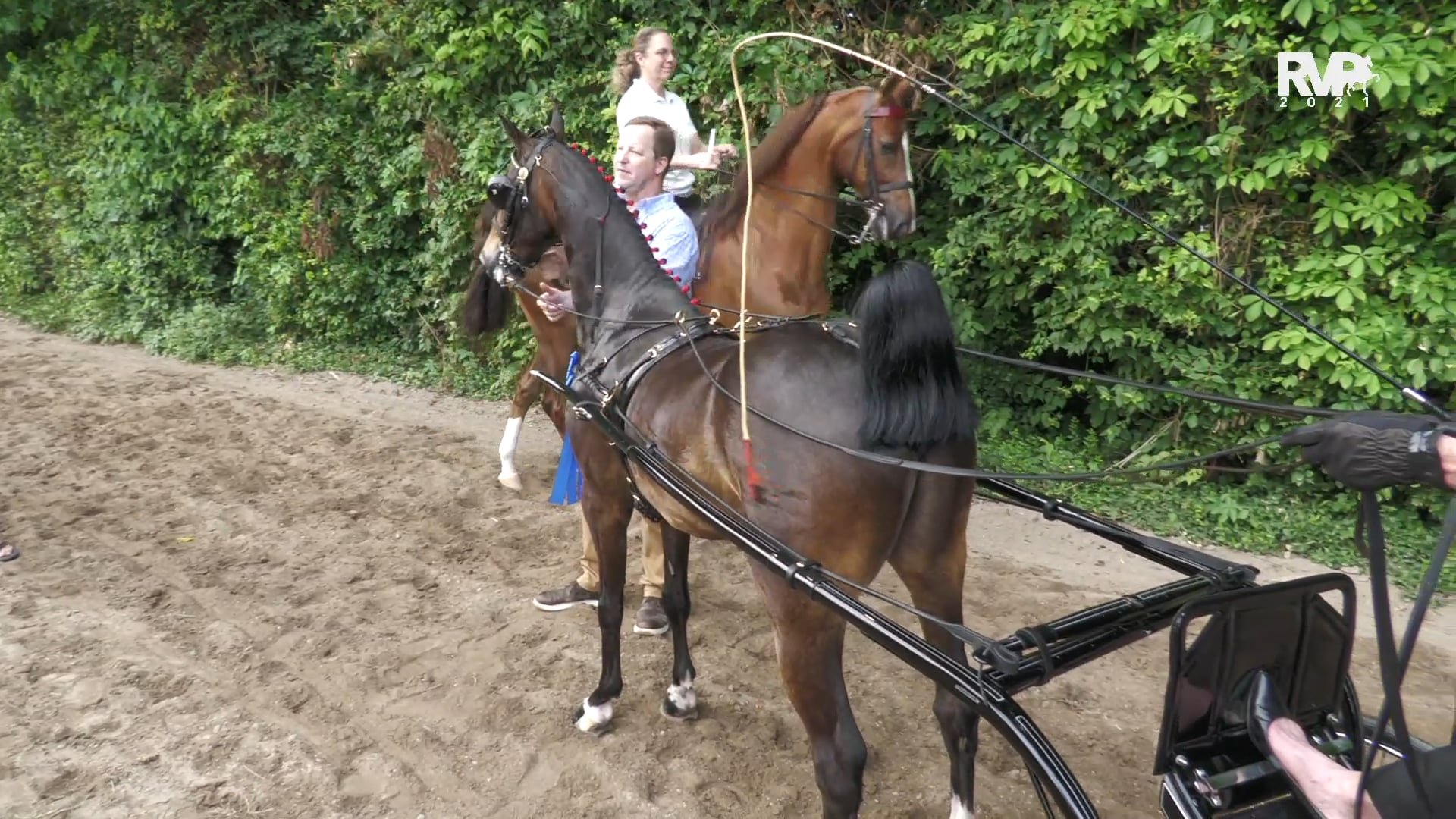 RC21 - Class 49 - Heartland Roadshow and Mary Gaylord McClean, whip