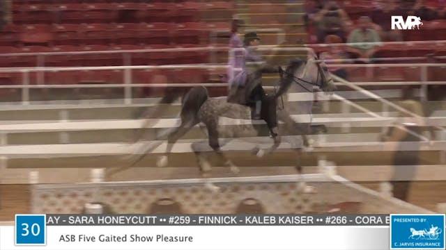 2020 ASF - Class 30 ASB Five Gaited S...