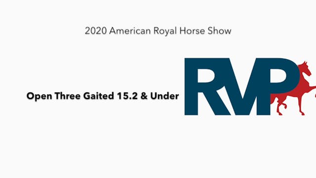2020 AR - Class 65 
Open Three Gaited...