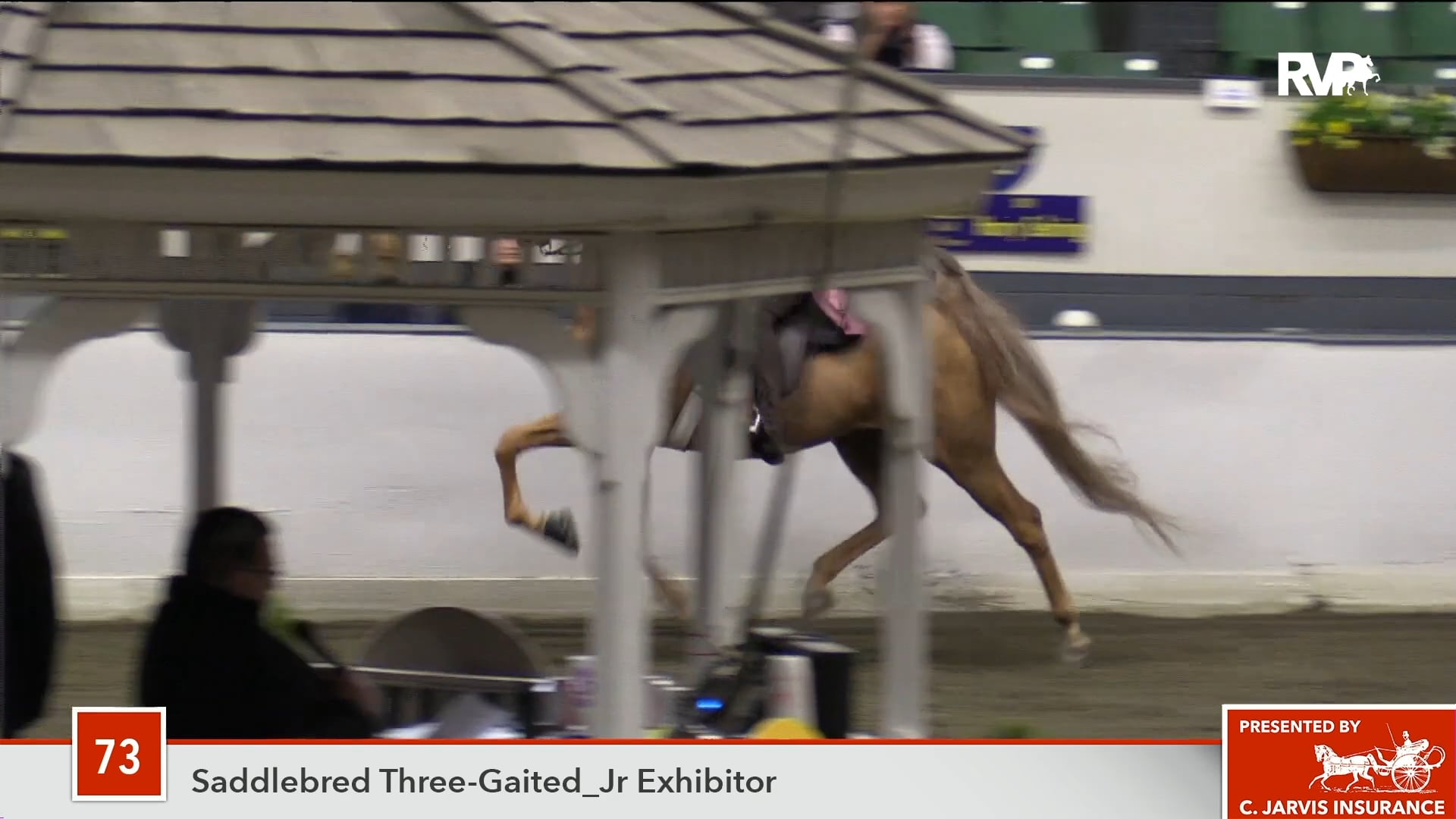 UPHA14-18 Class 73 My Wishes and Dreams