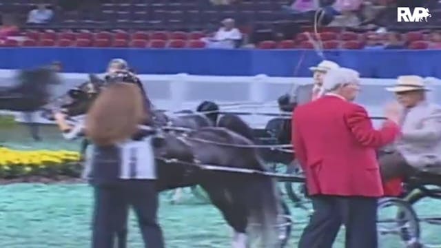 2009 World's Championship Horse Show ...