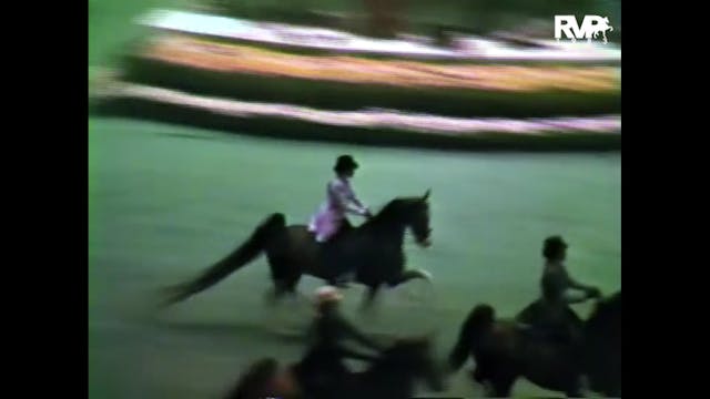 1983 WCHS - Class 113 Amateur Five Ga...