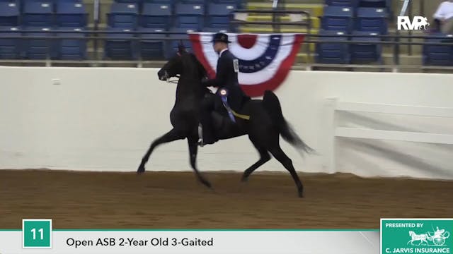ASHAV17 - Class 11 - Cornerstone's Mo...