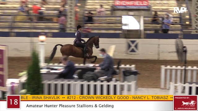 2020 JMHS - Class 18 Amateur Hunter P...