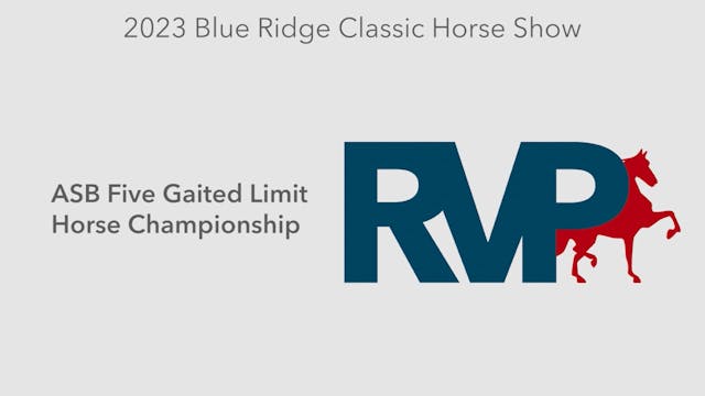 BR23 - Class 158 - ASB Five Gaited Li...