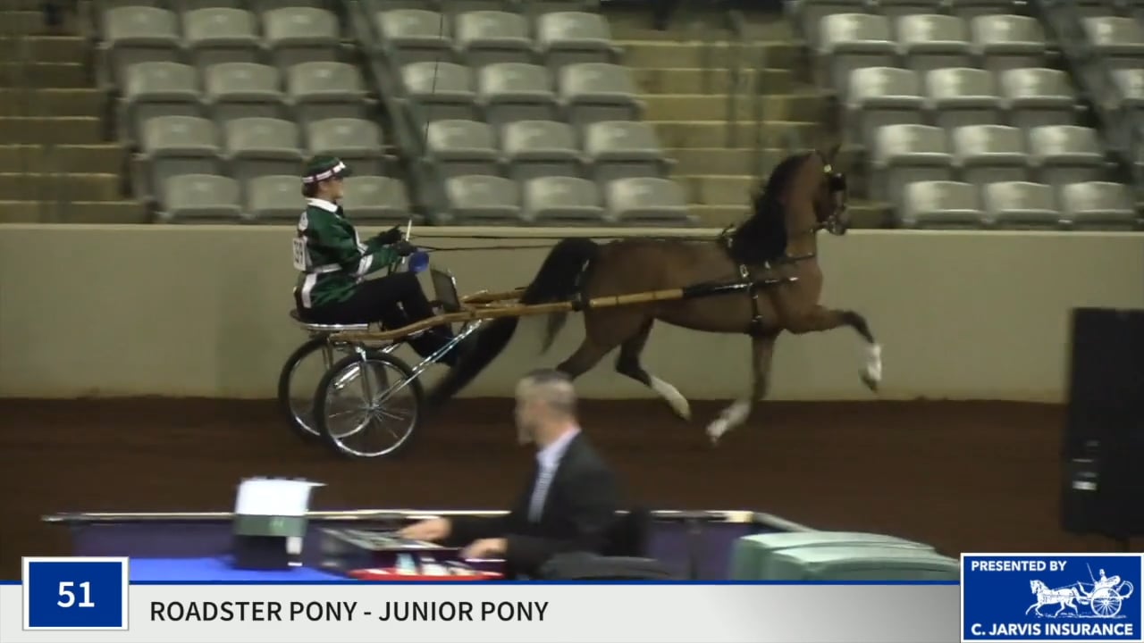 SSSF19 - Class 51 - Southern Charm