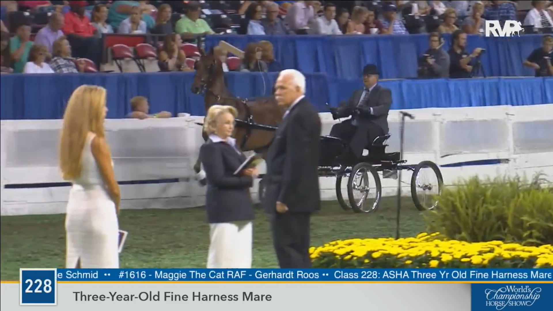 2016 WCHS - Class 228 Three Year Old Fine Harness Mare