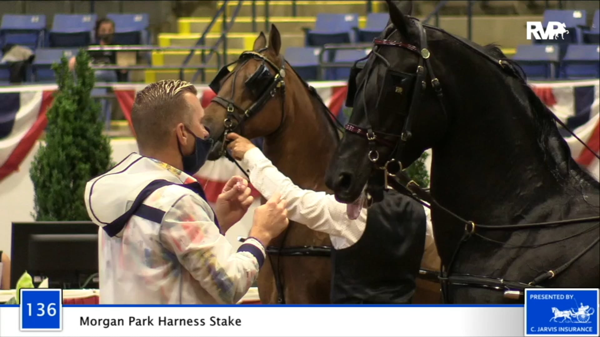 2020 BB - Class 136 Morgan Park Harness Stake