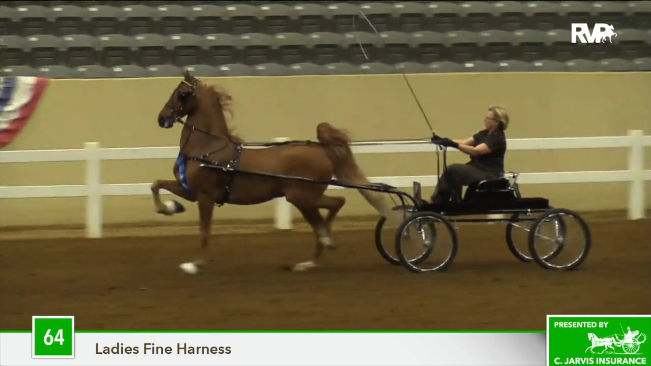 KYSP18 Class 64 New York Skyline