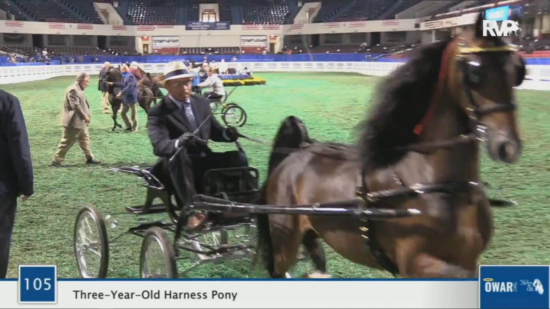 WCHS 2020 Class 105 - Three-Year-Old Harness Pony