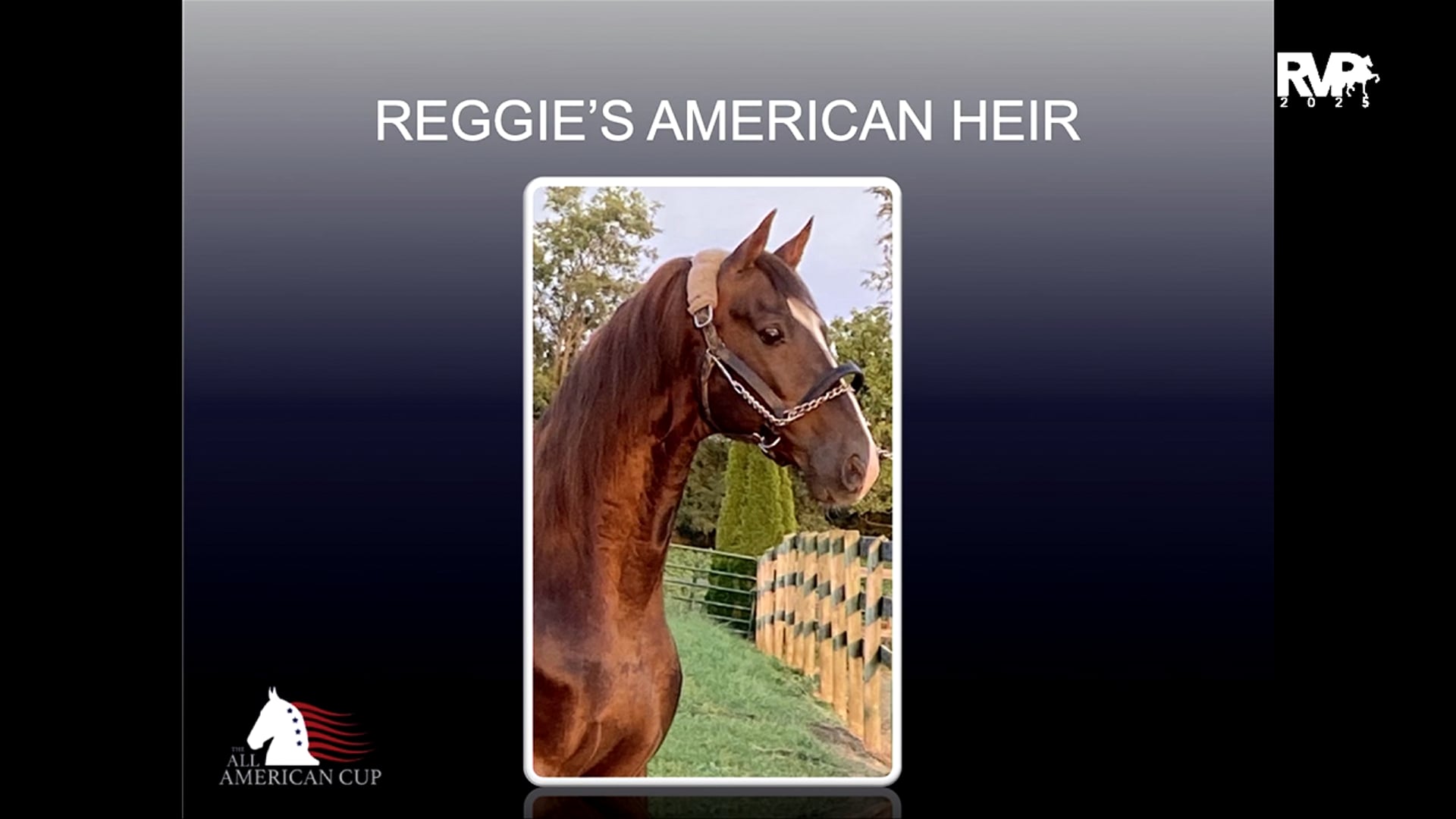AASA25 12. REGGIE'S AMERICAN HEIR 