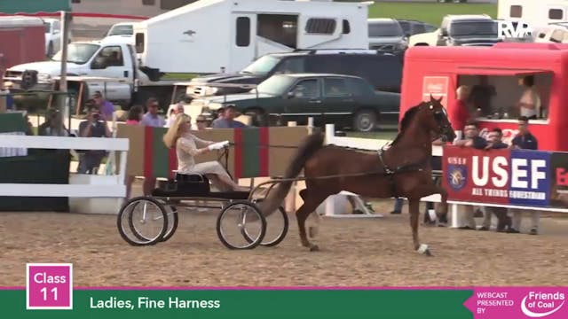 2015 LJL - Class 11 Ladies Fine Harness 
