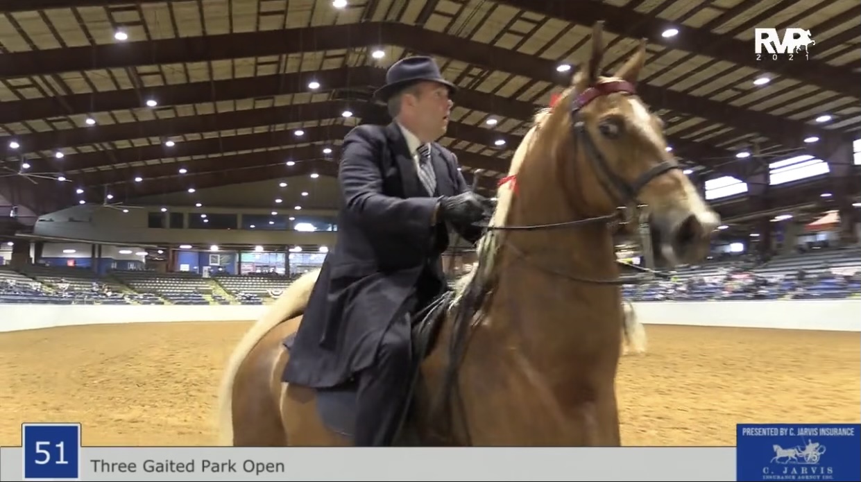 BB21 - Class 51 - Three Gaited Park Open