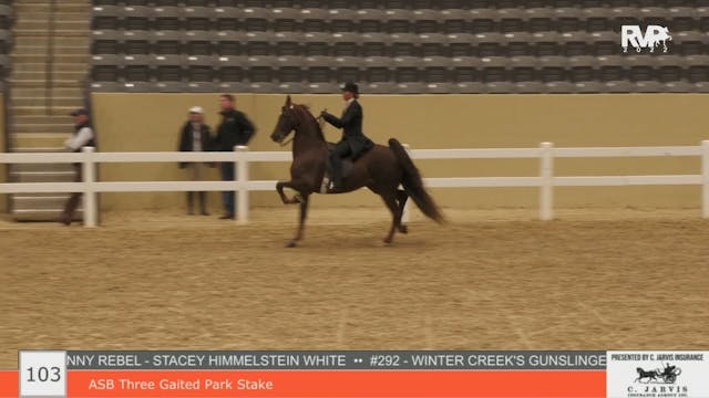 KYFC22 - Class 103 - ASB Three Gaited...
