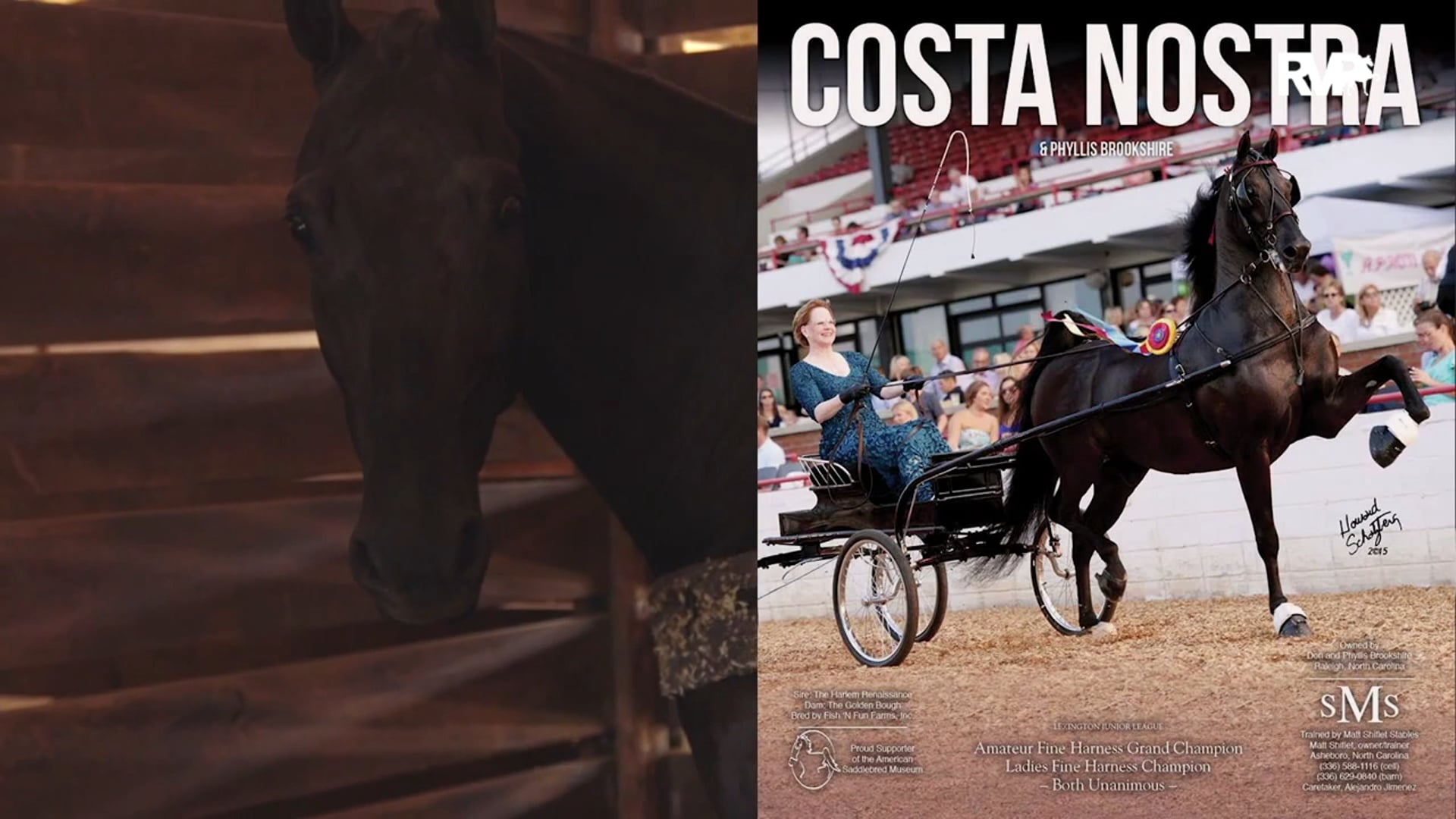 WCHS15 - What Did You Bring Matt Shiflet?