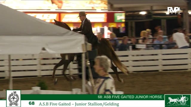 RC24 - Class 68 - ASB Five Gaited Jr ...