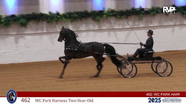 MGN25 - Class 462 - WC Park Harness T...