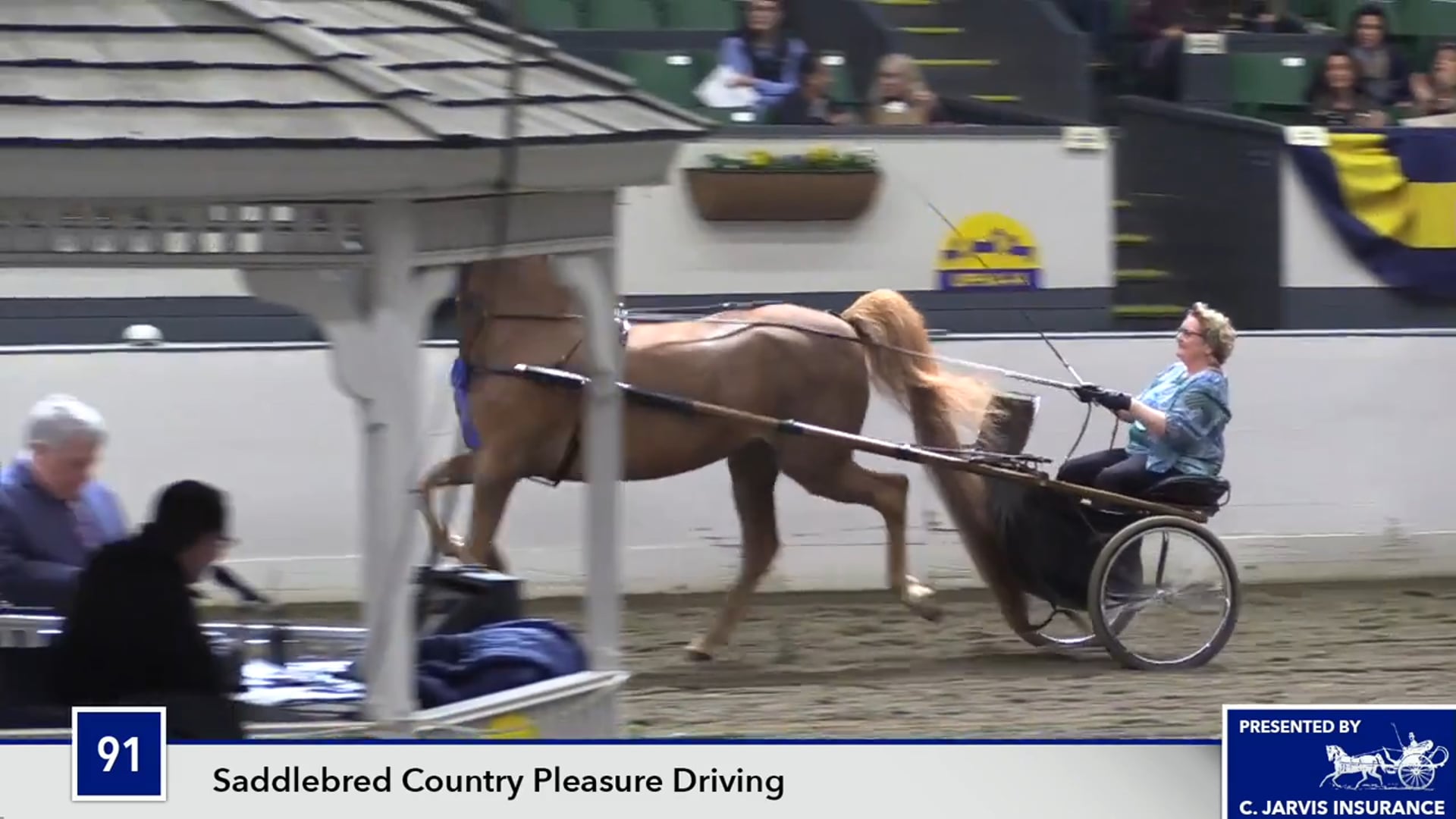 UPHACh14 17 - Roselane's Top Contender