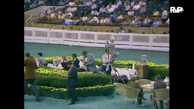 1988 WCHS Class 17 Junior Five Gaited...