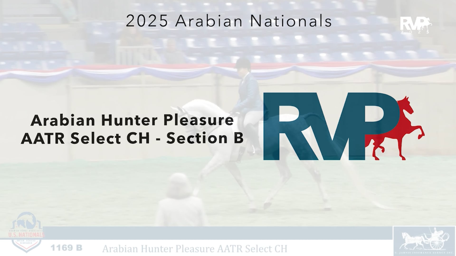 AN25 - Class 1169b - Arabian Hunter Pleasure AATR Select CH - Section B