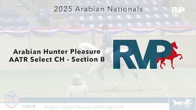 AN25 - Class 1169b - Arabian Hunter P...