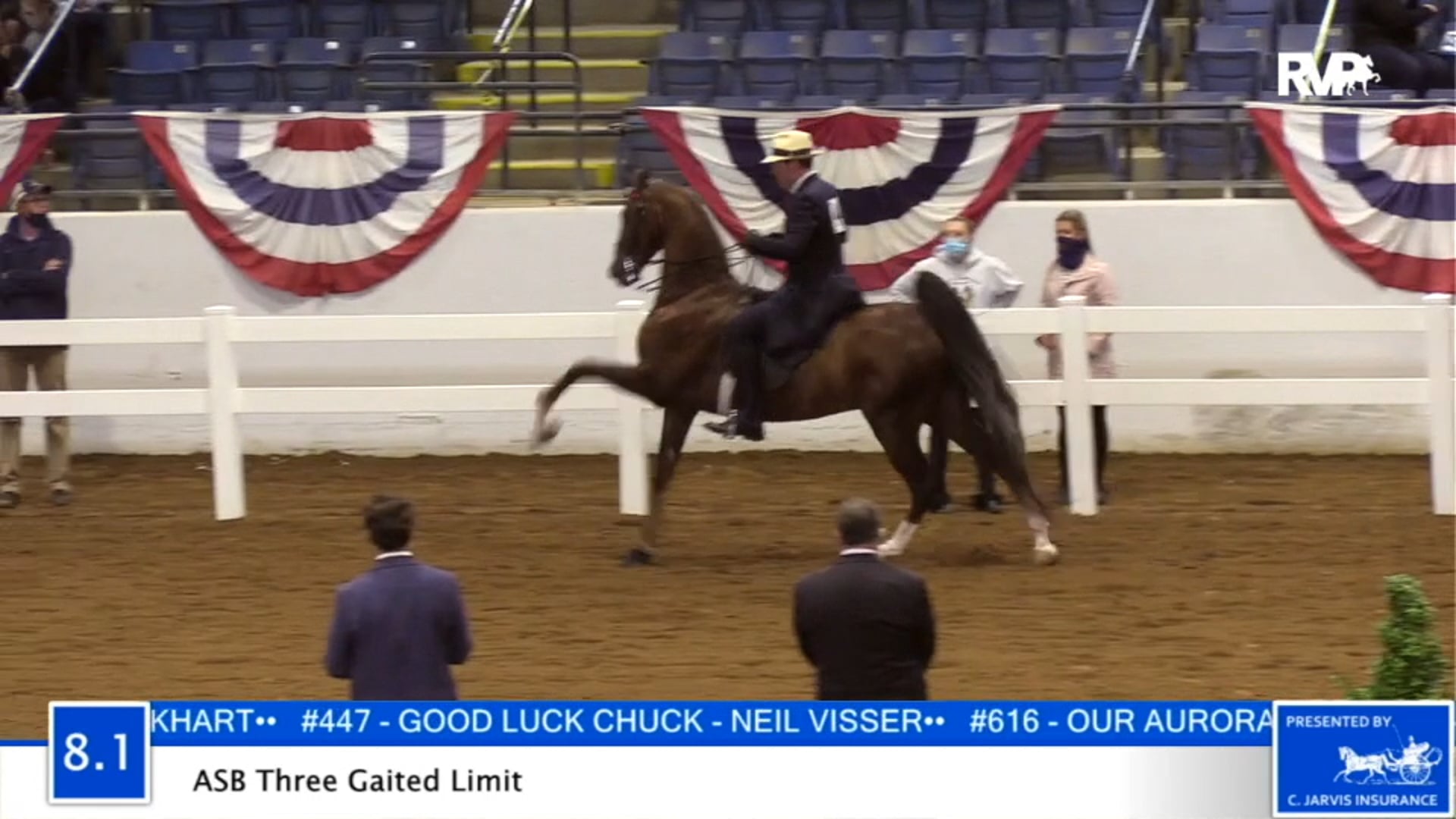 2020 BB - Class 8.1 ASB Three Gaited Limit