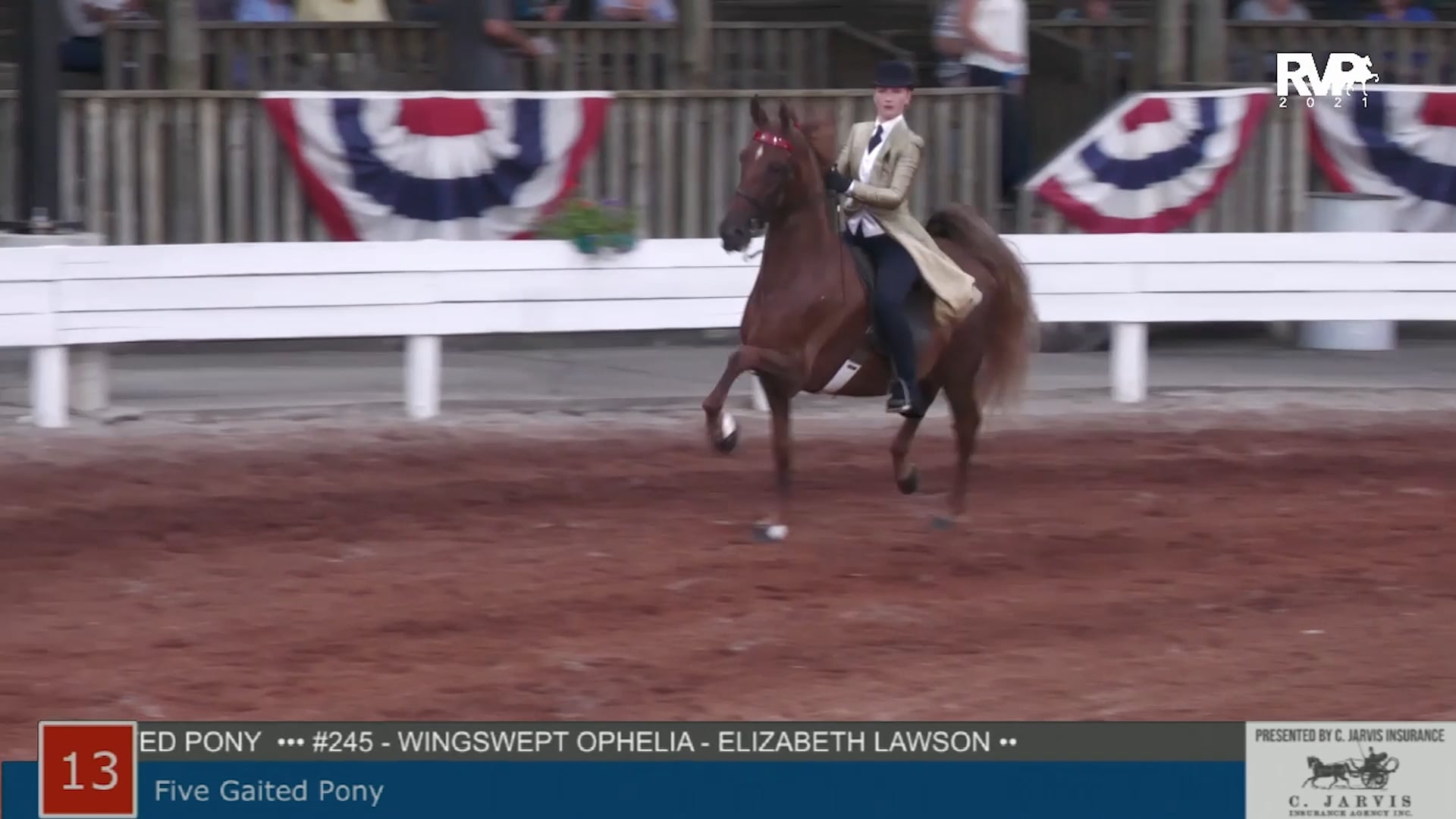 SHS21 - Class 13 -  Five Gaited Pony