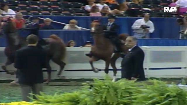 2000 WCHS Class 181 Equitation Walk-T...