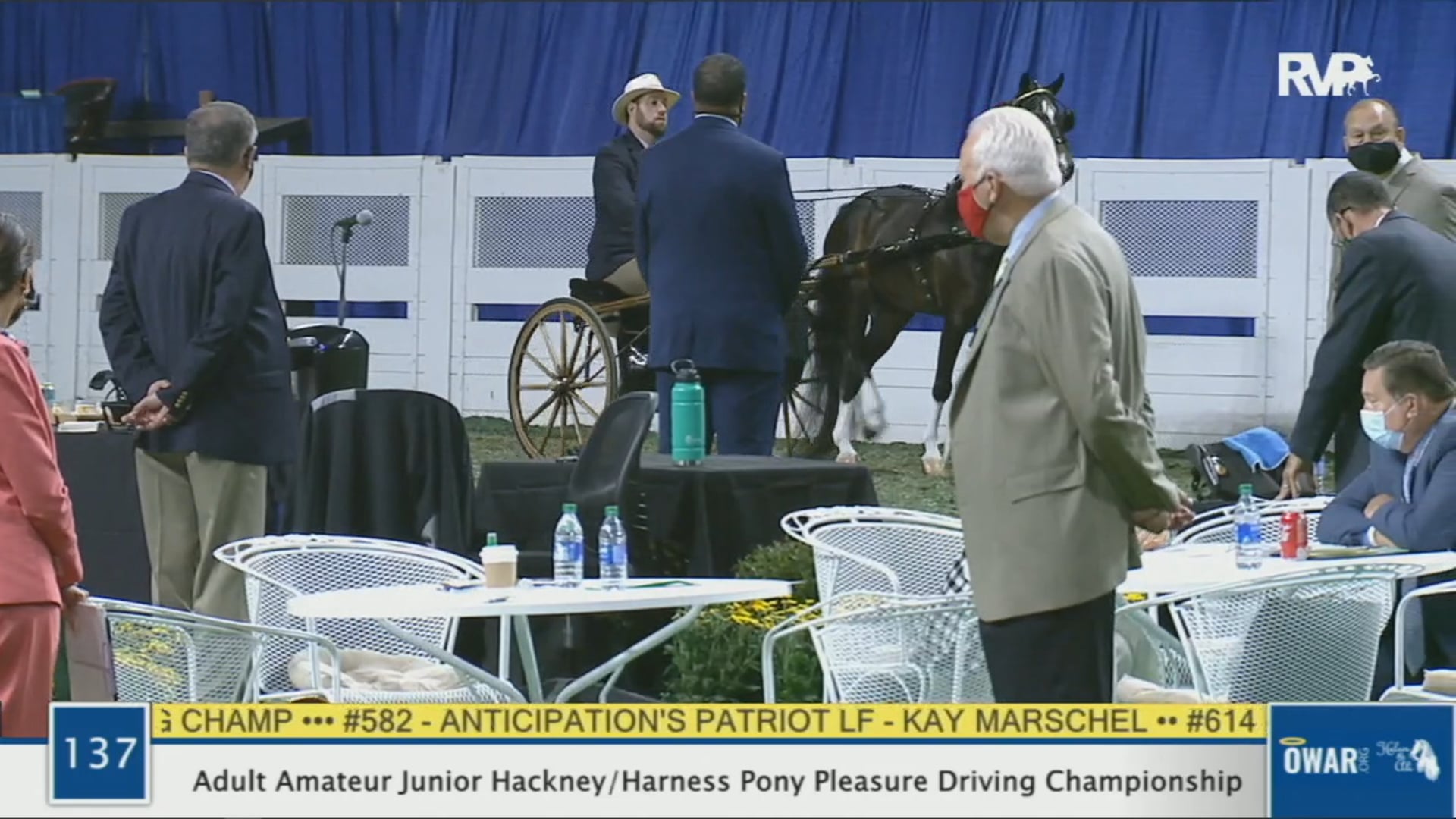 WCHS 2020 Class 137 - Adult Amateur Junior Hackney:Harness Pony Pleasure Driving Championship
