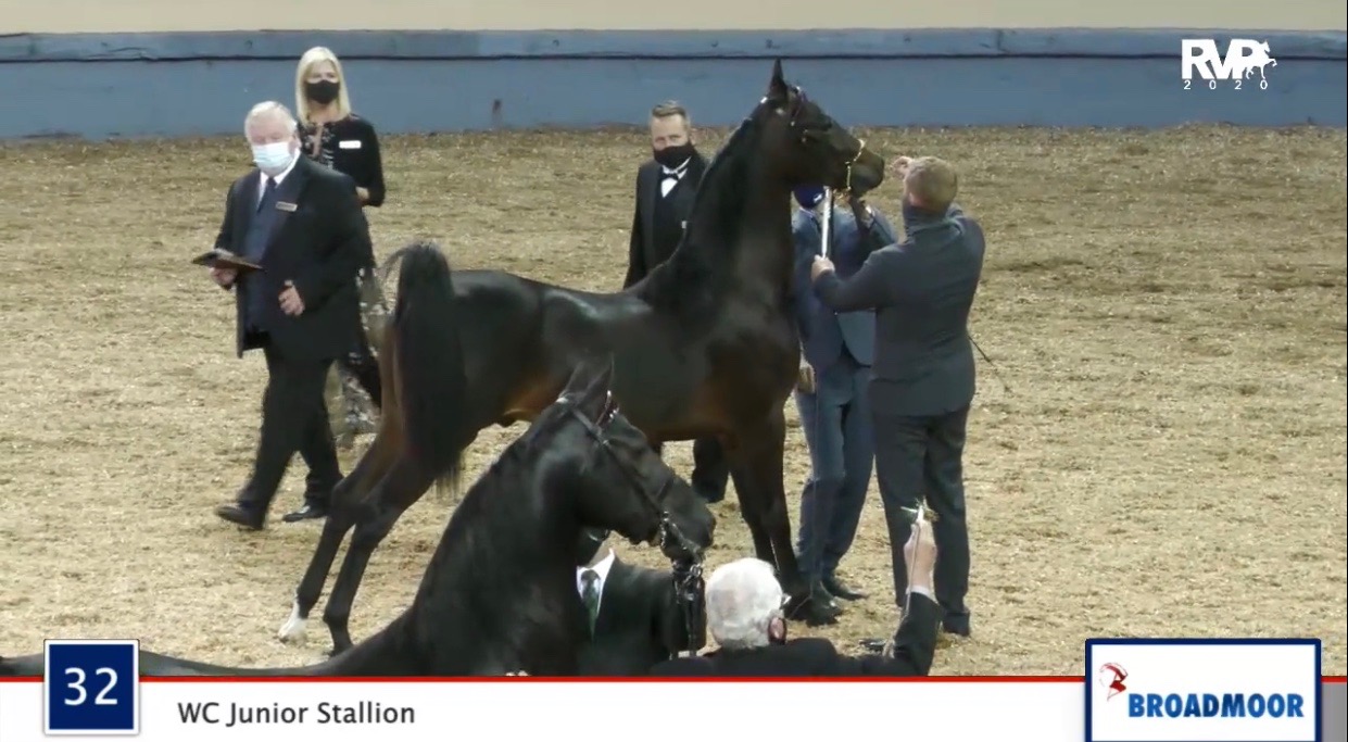 2020 MGN - 10:10 - Saturday Evening - Coliseum 