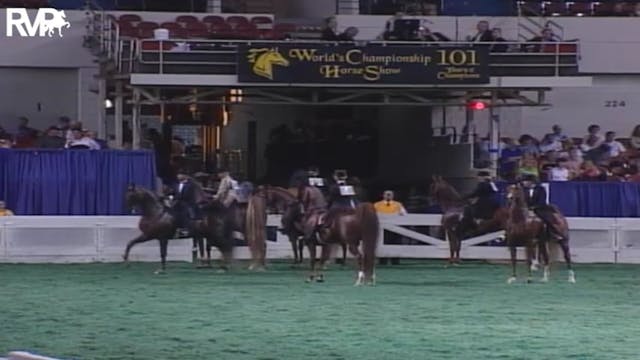 2004 World's Championship Horse Show ...