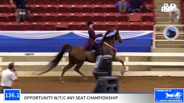 2019 Blue Ridge Classic Horse Show - ...