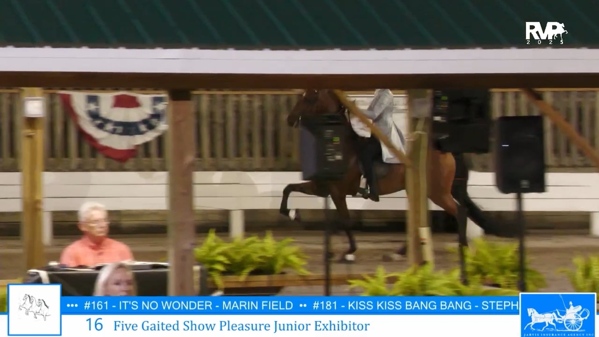 SSC25 - Class 16 - Five Gaited Show Pleasure Jr Exhibitor