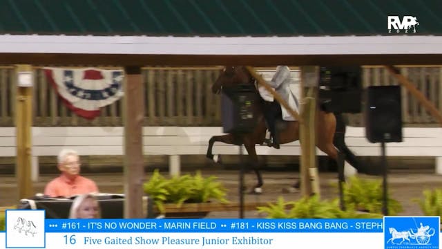 SSC25 - Class 16 - Five Gaited Show P...