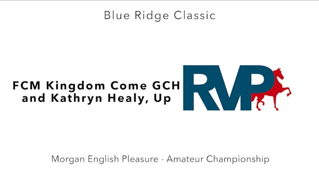 BR24 - Class 176 - FCM Kingdom Come G...