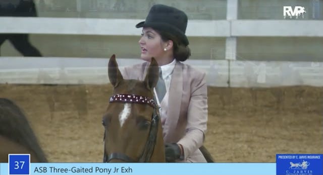 ASC21 - Class 37 - Three-Gaited Pony ...