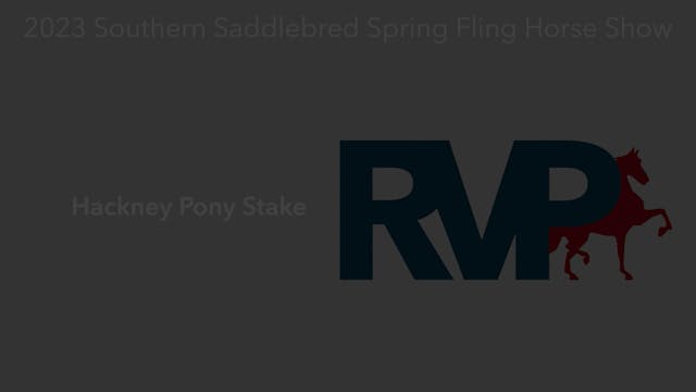 SSSF23 - Class 97 - Hackney Pony Stake