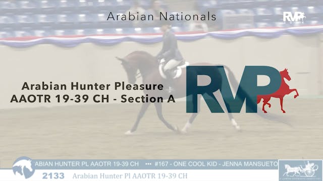 AN24 - Class 2133A - Arabian Hunter P...