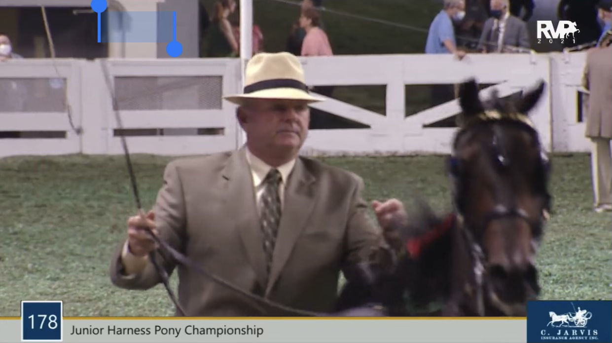 2021 World's Championship Horse Show - Friday Morning - August 27