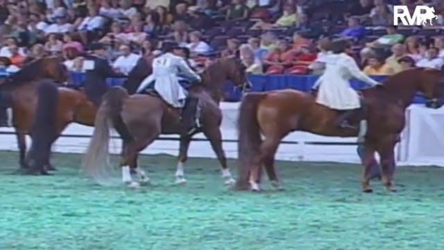 2009 World's Championship Horse Show ...