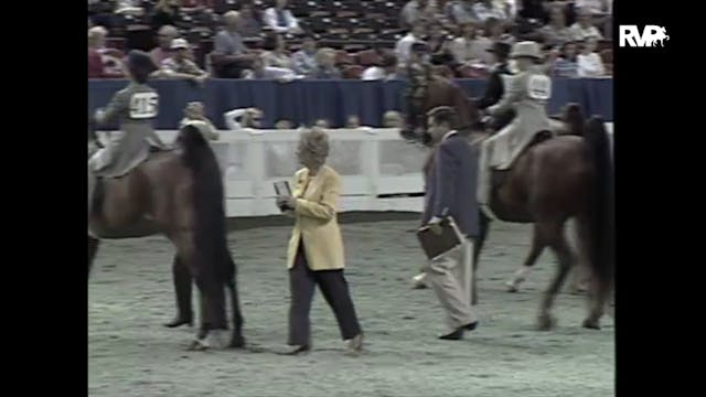 1997 WCHS - Class 159 Equitation Walk...