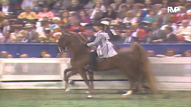 1992 WCHS Class 154 Amateur Five Gait...