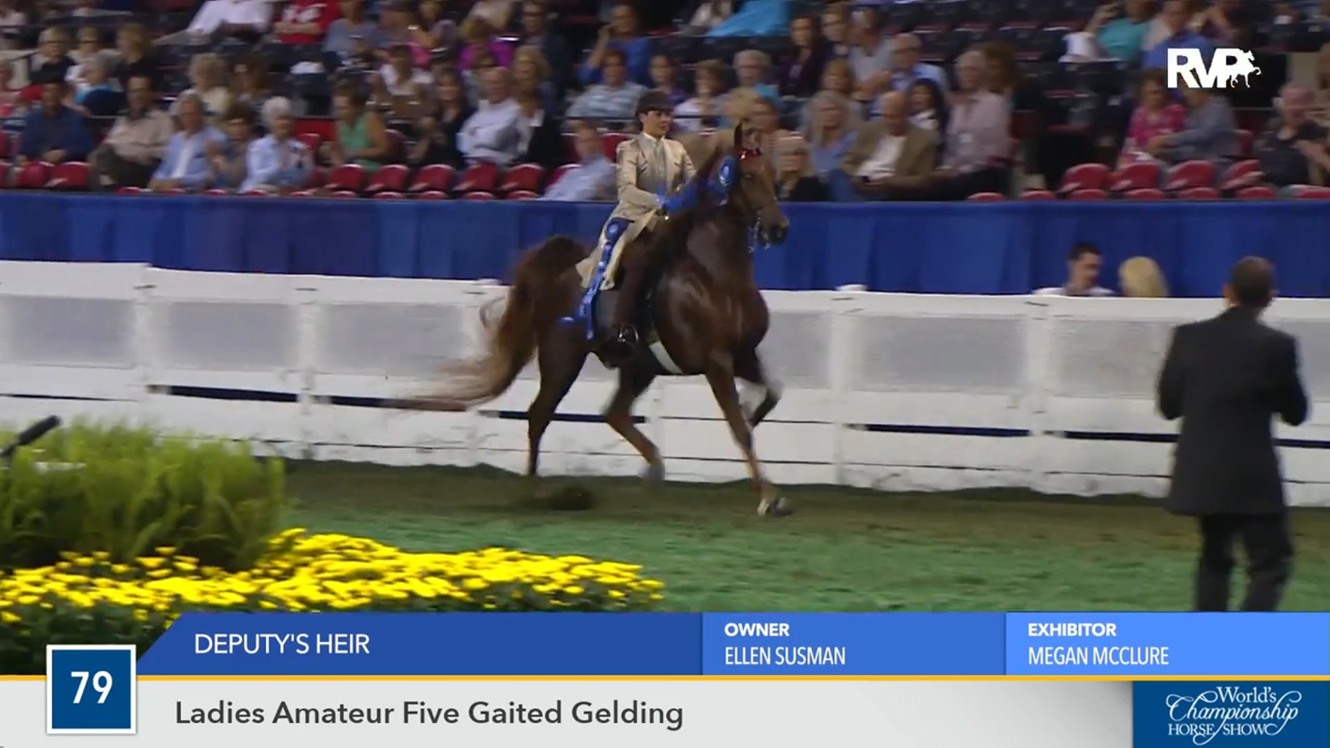 WCHS16 - Deputy's Heir