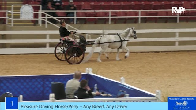 ASW21 - Class 1- Pleasure Driving Hor...