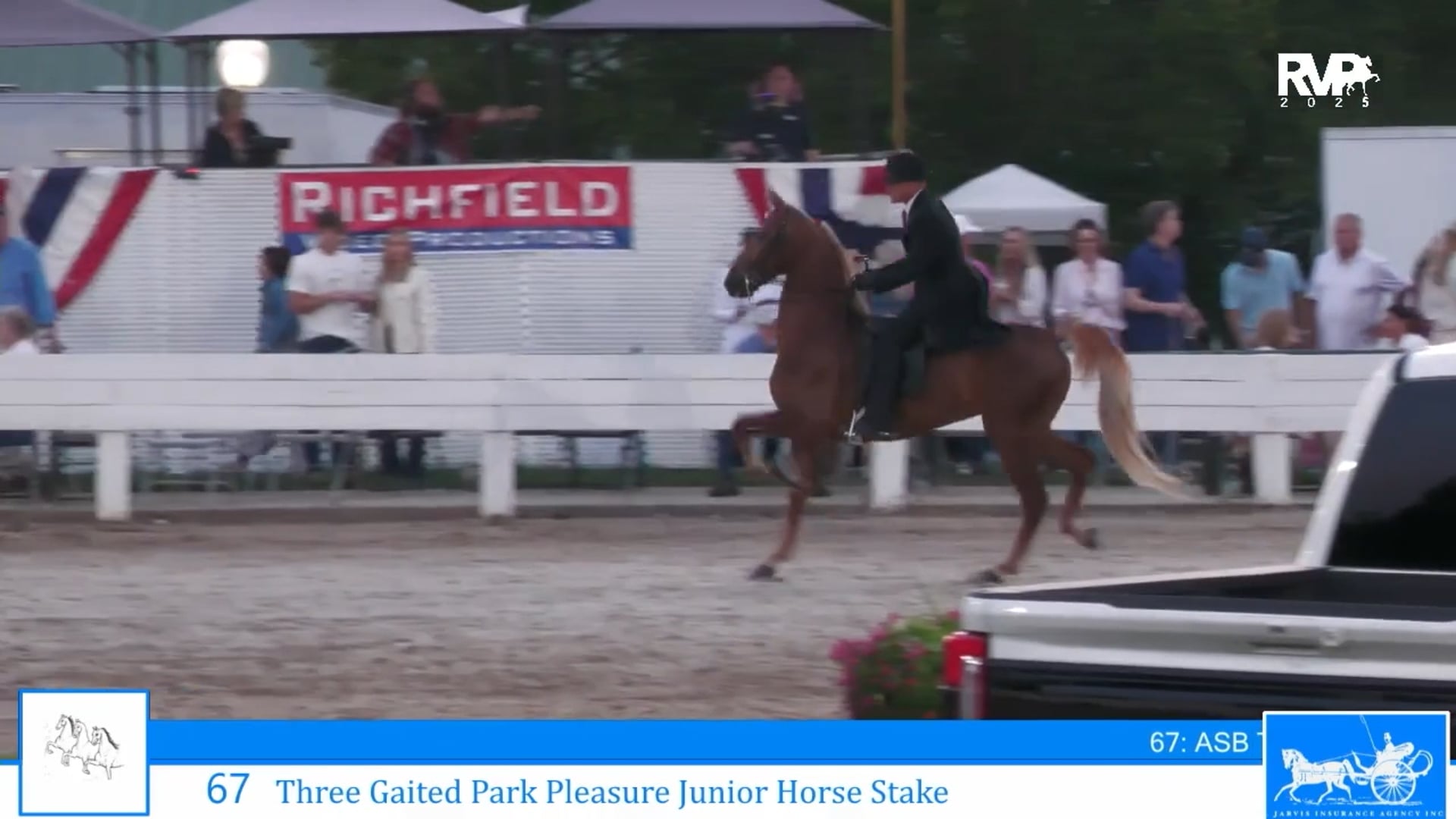 SSC25 - Class 67 - Three Gaited Park Pleasure Junior Horse Stake