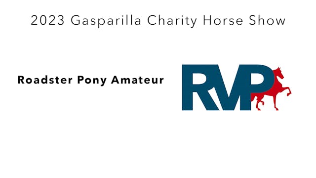 GASP23 - Class 35 - Roadster Pony Ama...