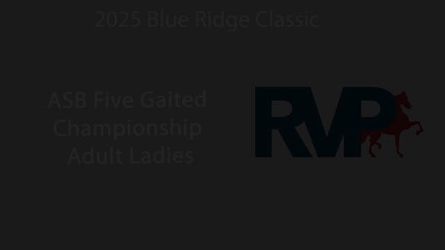 BRC25 - Class 175 - ASB Five Gaited C...