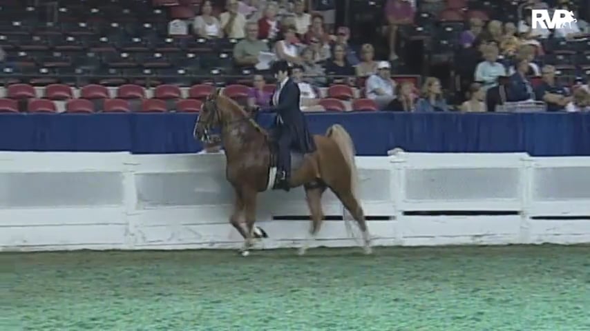 2010 World's Championship Horse Show Class 80 Junior Exhibitor Five Gaited-Rider 14-17 Division 1