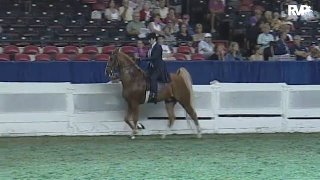 2010 World's Championship Horse Show ...